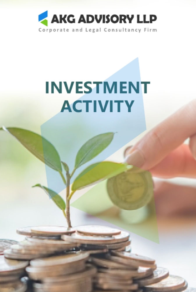 Investment Activity